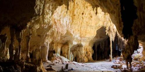 Les humains ont brul&eacute; les for&ecirc;ts &agrave; Madagascar il y a 1 000 ans